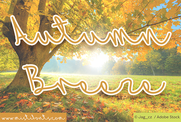 Autumn Breeze Typeface Review: A Script Amp Gem for Digital Brands