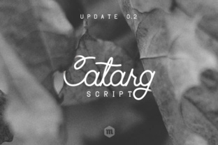 Catarg: A Designer’s Honest Review of This Script Amp