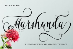 Marshanda: A Modern Script Font for Editorial Design
