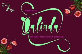 Qalinda Font: A Modern Script for Strong Brand Typography